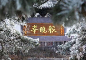 鸡公山入冬成“冰雪仙境”！雾凇压枝、冰挂垂帘