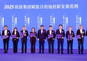 安阳文旅集团殷墟片区运营工作获国家级创新范例殊荣
