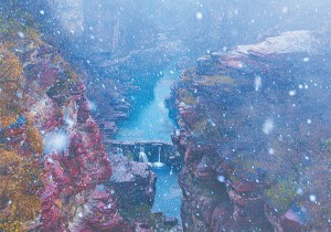 焦作：云台初雪绘盛景 冰瀑流韵引客游