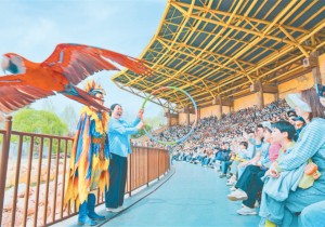 郑州文旅的五年迭代