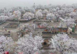 银装素裹地坑院 雾凇奇景等你来！