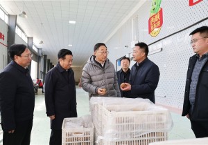 刘宁到南阳市调研推动工作