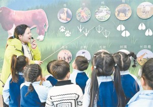 全国冬季乡村休闲旅游精品推介 郑州两条线路入选