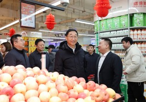 刘宁到洛阳市调研文旅市场发展等工作