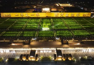 骏骥踏春潮 文旅兴中原：2026年春节假期河南省接待国内游客6281万人次，旅游收入376.3亿元