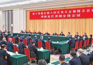 李强参加十四届全国人大四次会议河南代表团审议