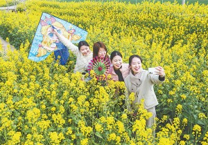 客涌怀川春意浓——焦作“春日经济”火热开局观察