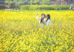 焦作：清明假期“赏花经济”拉动多元共融