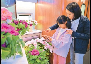 由“到此一游”转向“沉浸参与”：“一朵花”带动文旅消费升级