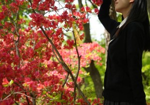 【五一特惠】杜鹃花开，来栾川竹海野生动物园，看不被定义的美景