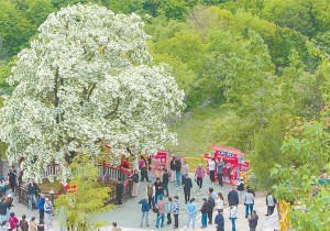 “畅游‘五一’·相约焦作”——焦作市多元文旅盛宴即将开启