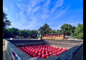 “五一”就来陕州地坑院：跟着《非遗里的中国》打卡黄河非遗大集
