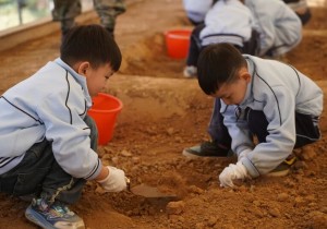 洛阳：聚力打造全国重要研学旅游目的地