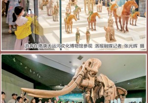 第50个国际博物馆日 洛阳文博系统推出系列文化活动