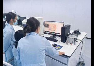 央媒观豫｜科技助力，龙门石窟保护工作屡获殊荣