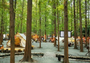凉夏藏山野 露营正当时——信阳夏日秘境营地盘点