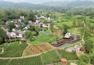 诗意茶乡 慢享假日——解锁信阳“百里茶廊”董家河镇宝藏打卡地