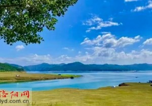 出发“向洛阳”！遇见青山 邂逅乡愁