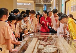 港澳台和海外华裔师生参访团到安阳研学交流