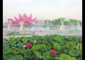 荷香满龙湖 昼夜皆盛景——第五届周口荷花节暨文旅消费季掠影