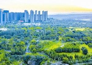三门峡：精护千年遗存 厚筑文明根基