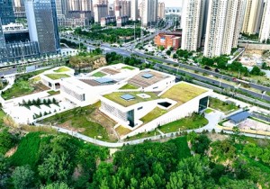 三门峡：活化仰韶根脉 绽放时代光彩