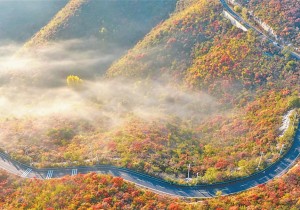 焦作市开启“红叶季”文旅盛宴