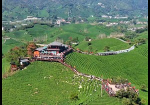 山河落墨 红绿成章——信阳“一核两带十组团”文旅新格局的“首...