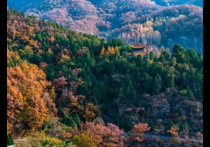 “新乡人游新乡”文旅惠民月开启！17家景区放出免门票、半价政...