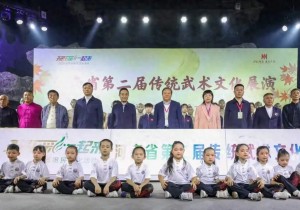 河南省第二届传统武术文化展演活动举办